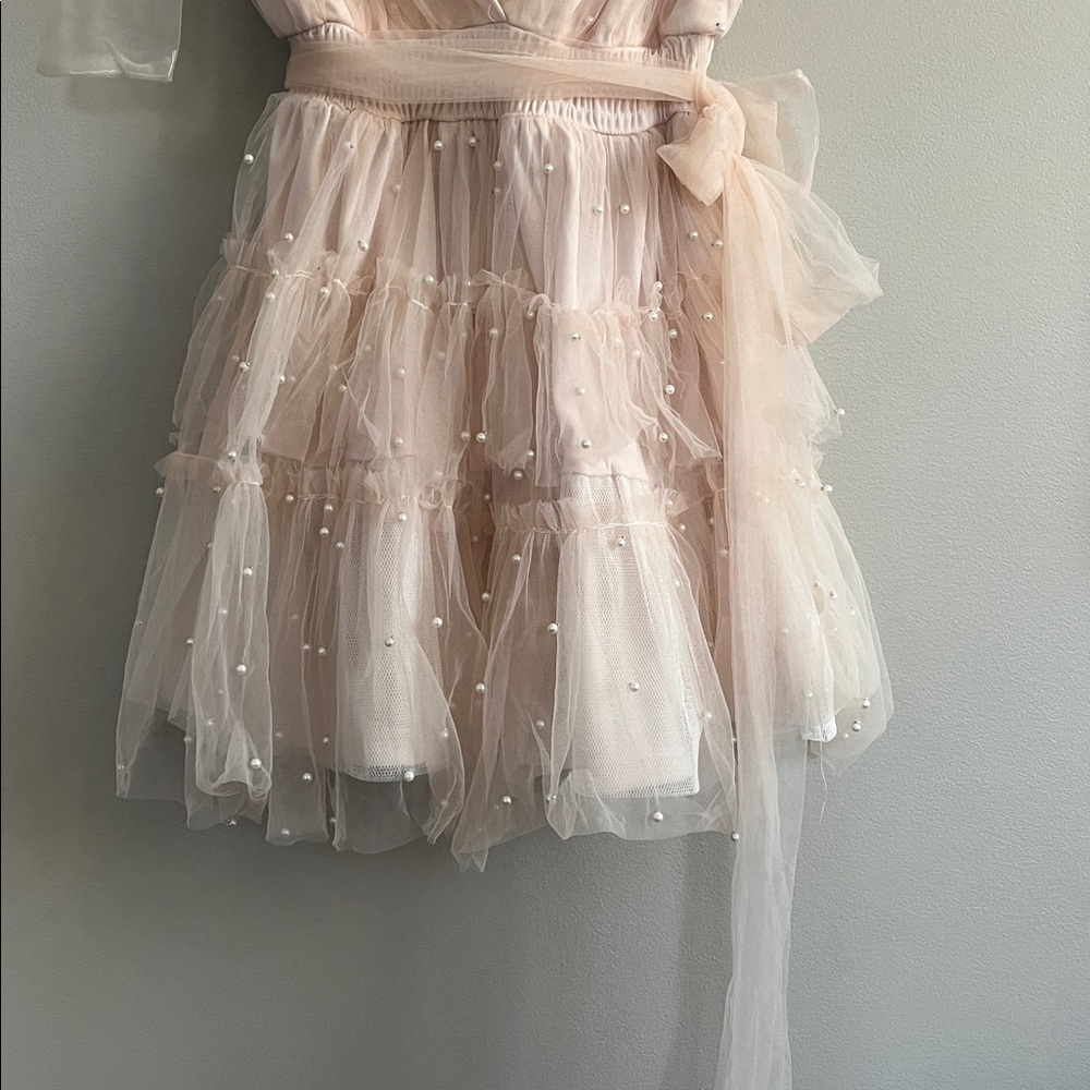 Mable Pearl Stud Swiss Dot Tulle Mini Dress in blush pink size large - Picture 3 of 16